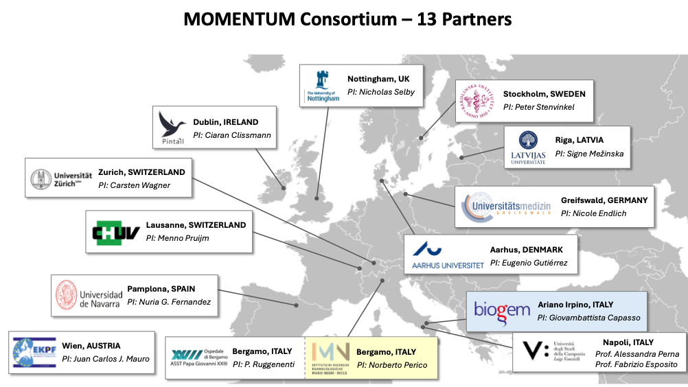 Biogem coordinates the European project MOMENTUM: the kick-off meeting with 13 international partners will take place in Bergamo