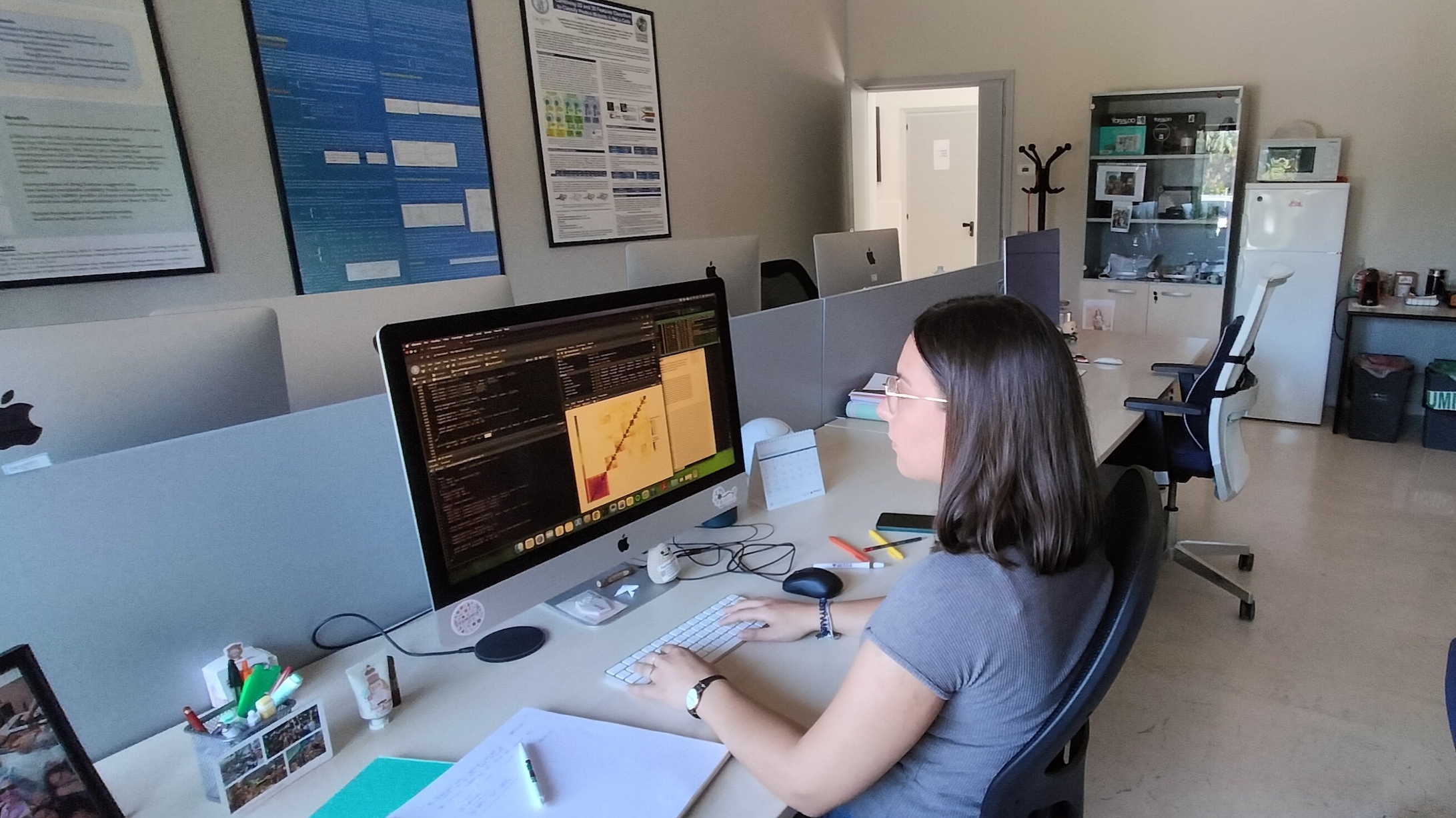 Melanoma: researchers from Biogem contributed to discover one of the mechanisms that helps cancer evade treatment 